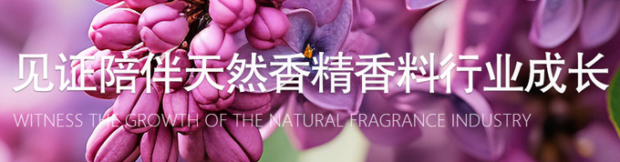 公司新闻